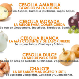 Variedades de cebollas y usos
